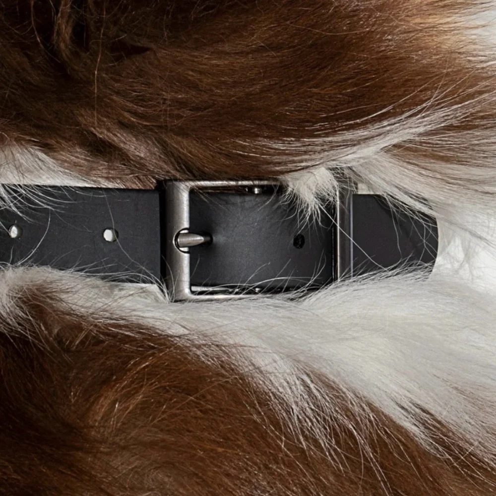 Wild One Dog Collar - M (12-15